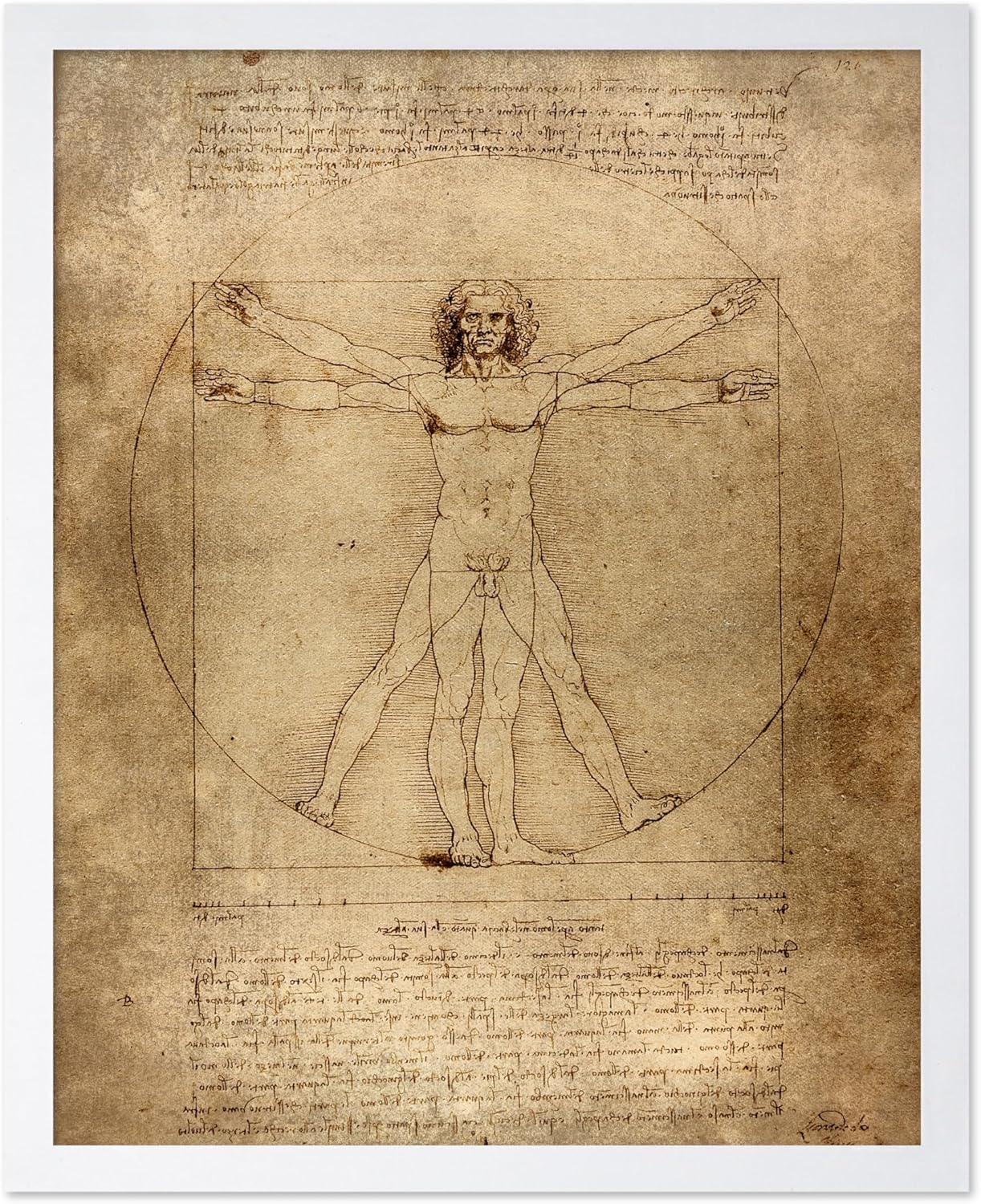 Poster Master Classic Leonardo Da Vinci Poster - Vintage Renaissance Print - Gift for Artist, Friend - Vitruvian Man, Proportion, Symmetry, Human Body - Wall Decor for Office, 16x20 White Framed