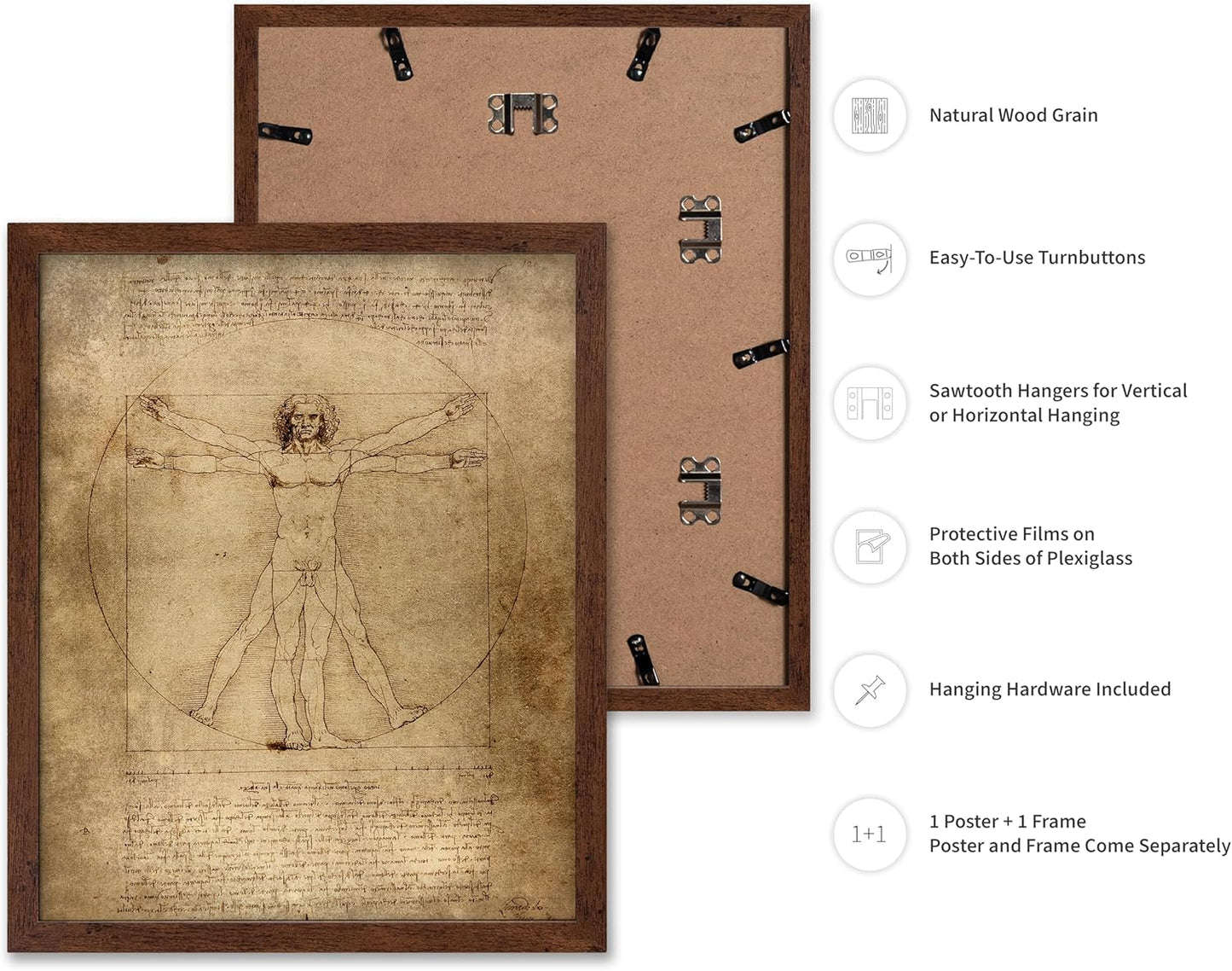 Poster Master Classic Leonardo Da Vinci Poster - Vintage Renaissance Print - Gift for Artist, Friend - Vitruvian Man, Proportion, Symmetry, Human Body - Wall Decor for Office, 8x10 Brown Framed