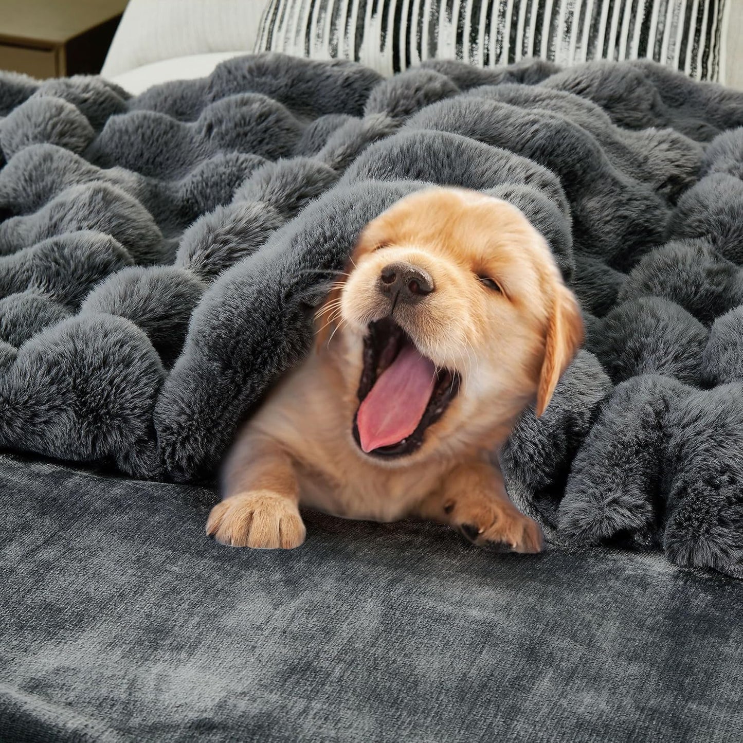 DREAMNINE Oversized Soft Thick Fuzzy Faux Rabbit Fur Throw Blanket Twin Size 60" x 71", Double Sided Comfy Plush Warm Shaggy Fluffy Blankets,Solid Luxury Cozy Cute Furry Blanket for Bed Couch Pet,Grey