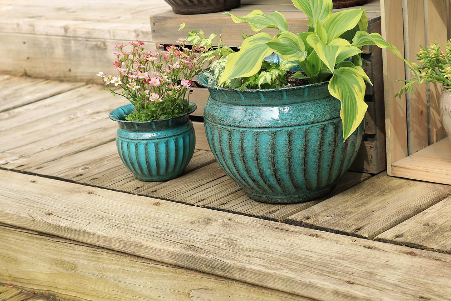 Headwind 6" Sutton - Surf