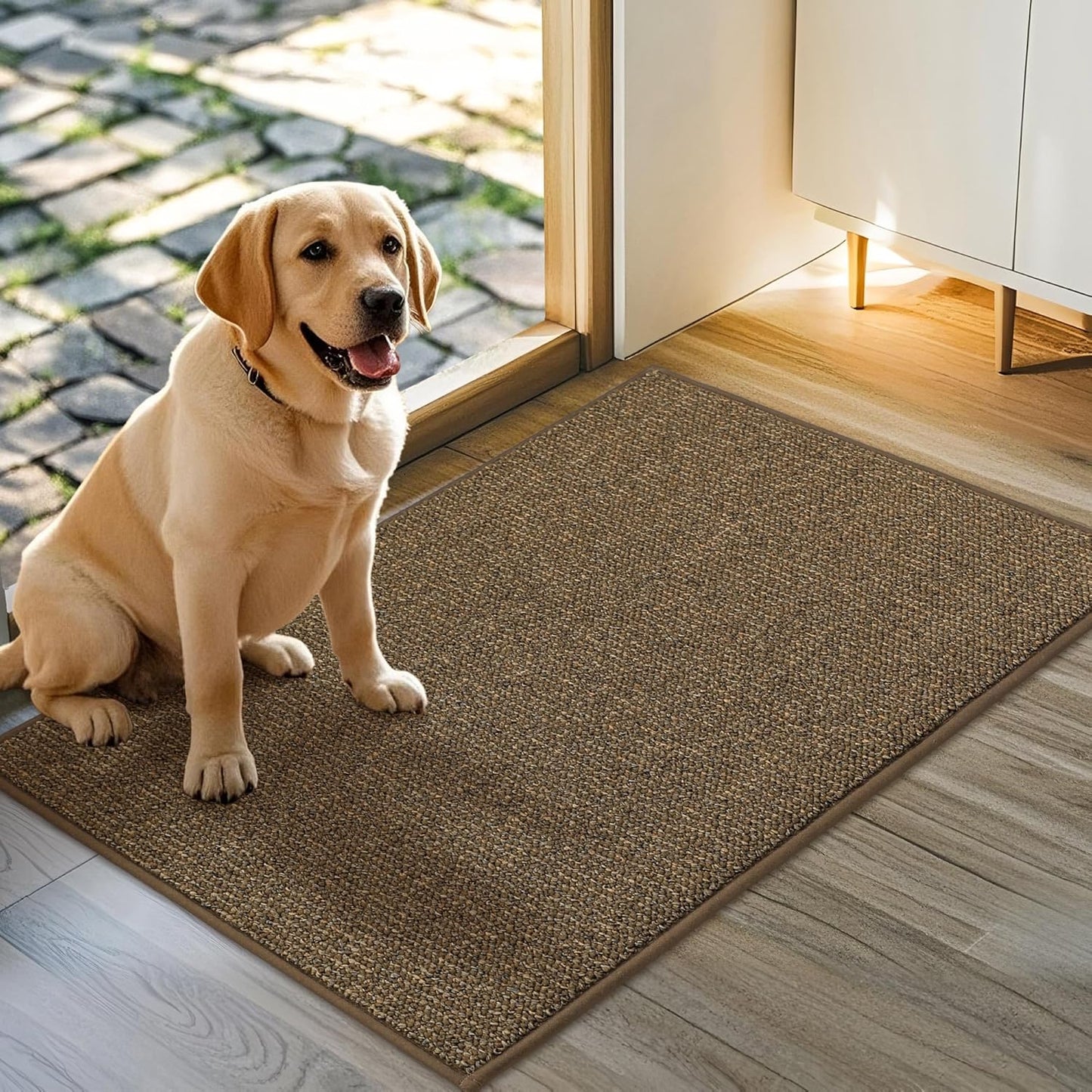 JSEI Dirt Trapper Door Mat 32"x48" Non-Slip Washable Entrance Mat, Dog Doormats, Absorbent & Fade-Resistant Floor Mats, Low Profile Welcome Mats for Entryway, Front Door, and Inside Entrance, Brown